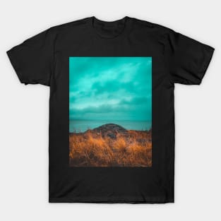 Path to the Serene Water of the Sea V3 T-Shirt